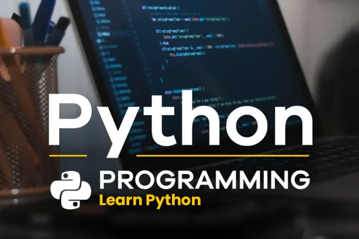 Python Institute