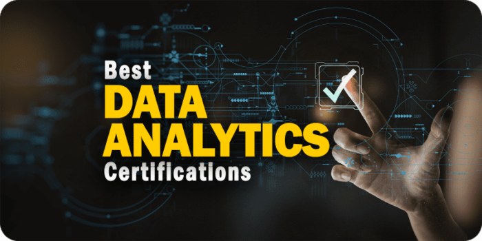 Best Data Analytics Course