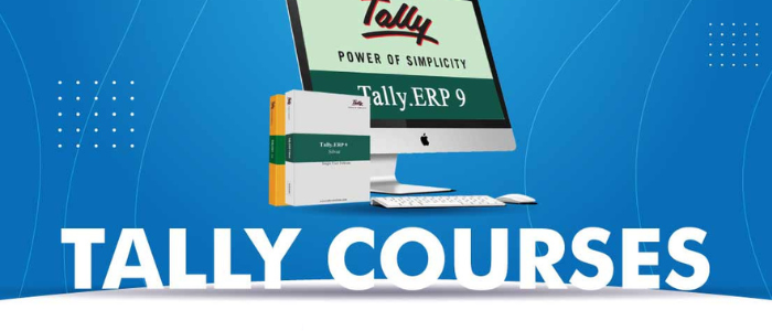 Best Tally Course In Budh Vihar