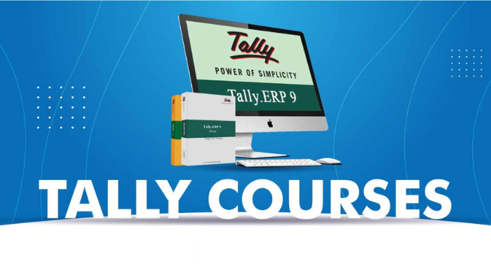 Best Tally Course In Budh Vihar